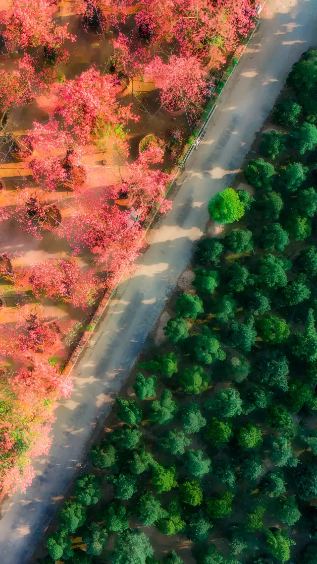 Foshan Flower World is a must-see!
