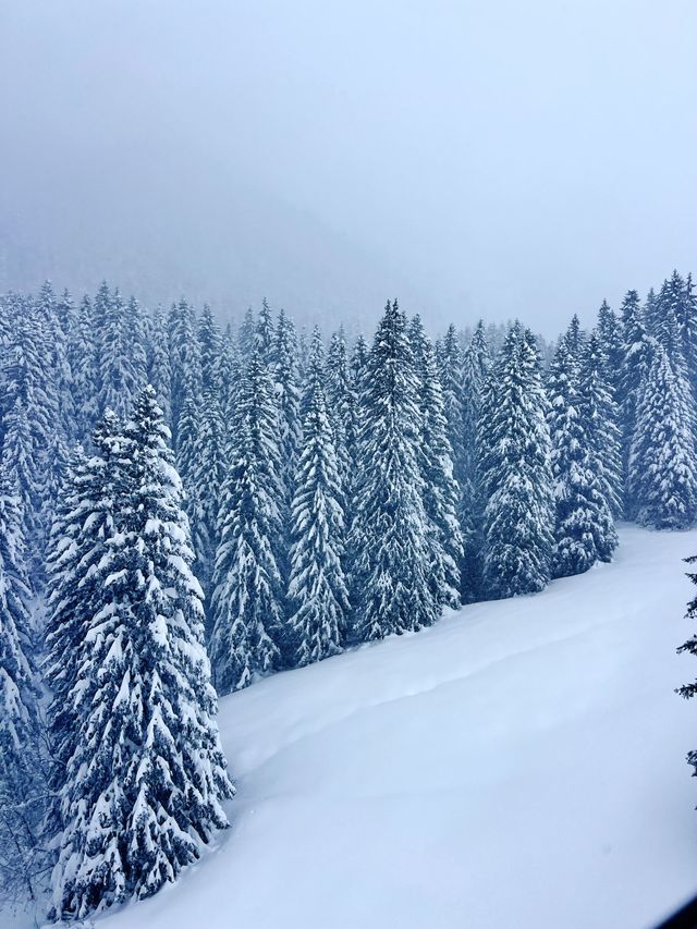 瑞士少女峰格林德瓦 First 滑雪