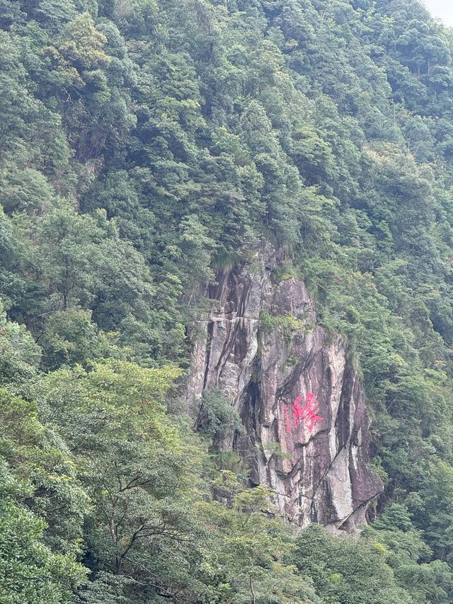 贛州三百山景區