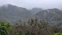 五指山·五指山水滿河熱帶雨林風景區
