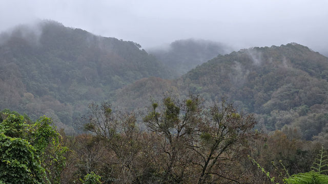五指山·五指山水滿河熱帶雨林風景區