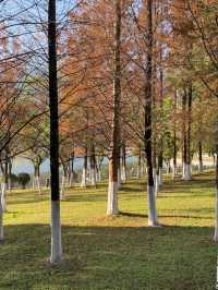 臨滄市玉龍湖公園