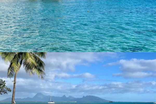 タヒチ：南太平洋の夢の島 | Trip.com タヒチ島