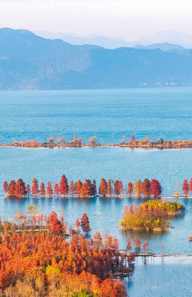 在這一刻，秋天的美達到了頂峰｜浙江喀納斯