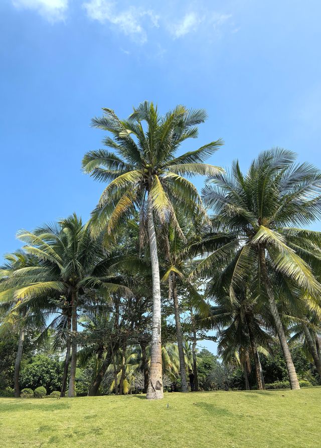 神州半島，來海南一定要去的地方