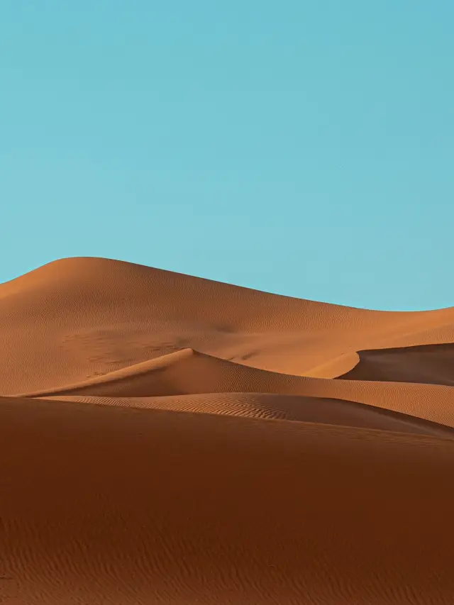 Yinchuan-Zhongwei-Alxa Left Banner 3-Day Tour: A Secret Guide to the Northwest