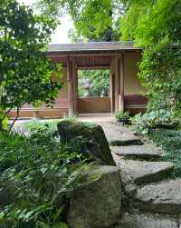 我在名古屋的寶藏發現｜德川園，每一步都是驚喜的園林之旅