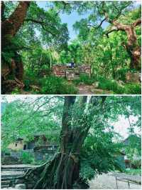 隱匿600年的布依族古村落｜石頭古寨雨補魯村
