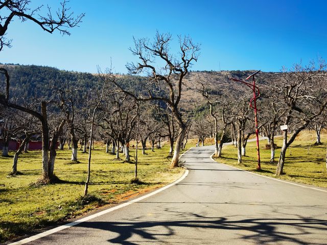 會澤水城擴紅文化生態園