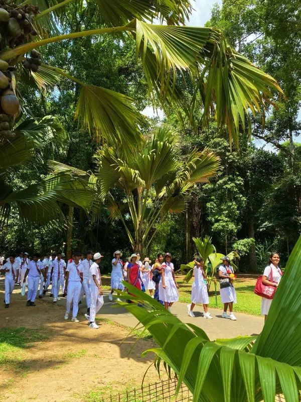 the Royal Botanical Gardens in Kandy, Sri Lanka