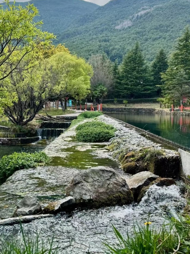 麗江之源，一路都是風景|玉水寨風景區