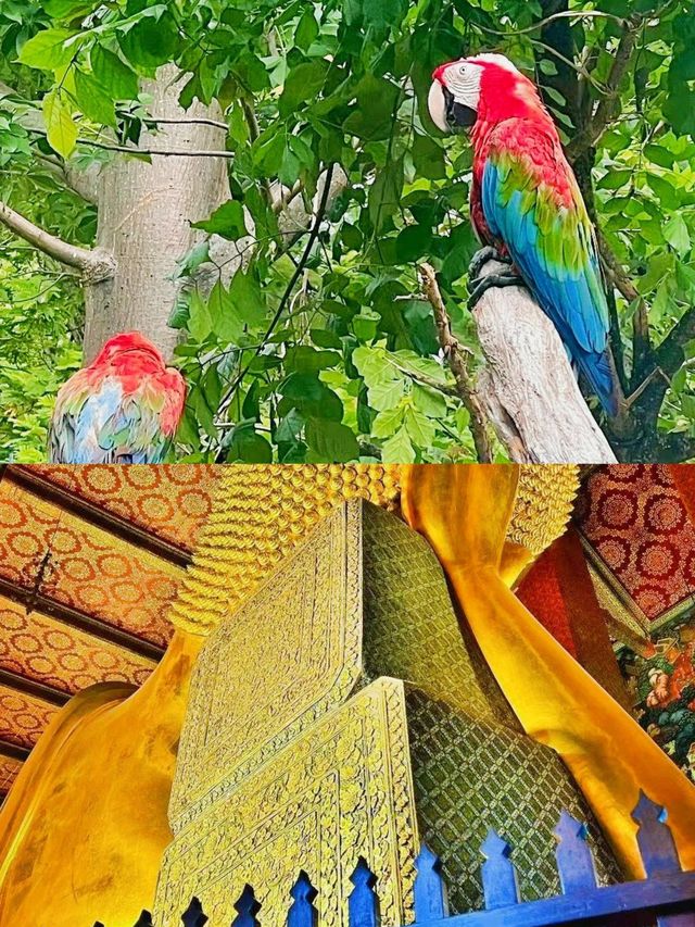 泰南明珠 | 那拉提瓦奇幻之旅全攻略
