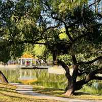 逛逛深圳老牌公園@洪湖公園