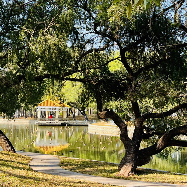 逛逛深圳老牌公園@洪湖公園