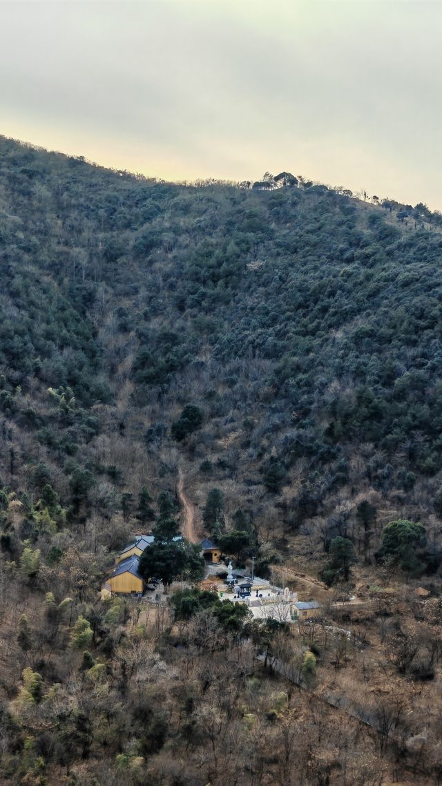 酒店裏能看老虎嘅湖州瑞峰國際酒店