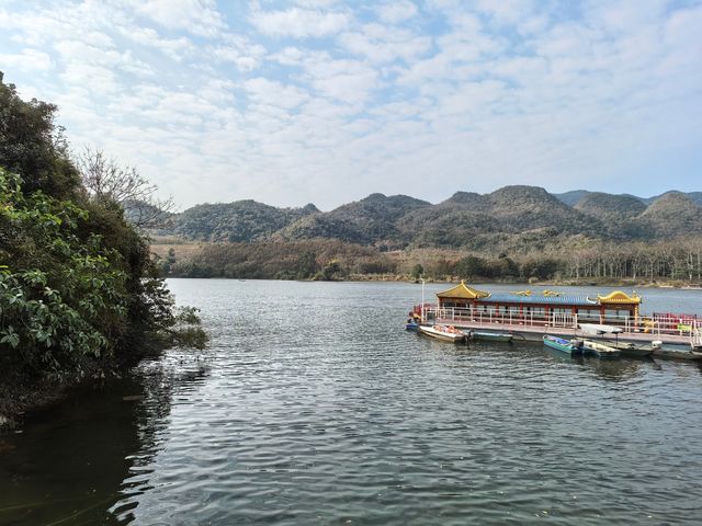 昌化江畔木棉賞花碼頭一一木棉紅景區