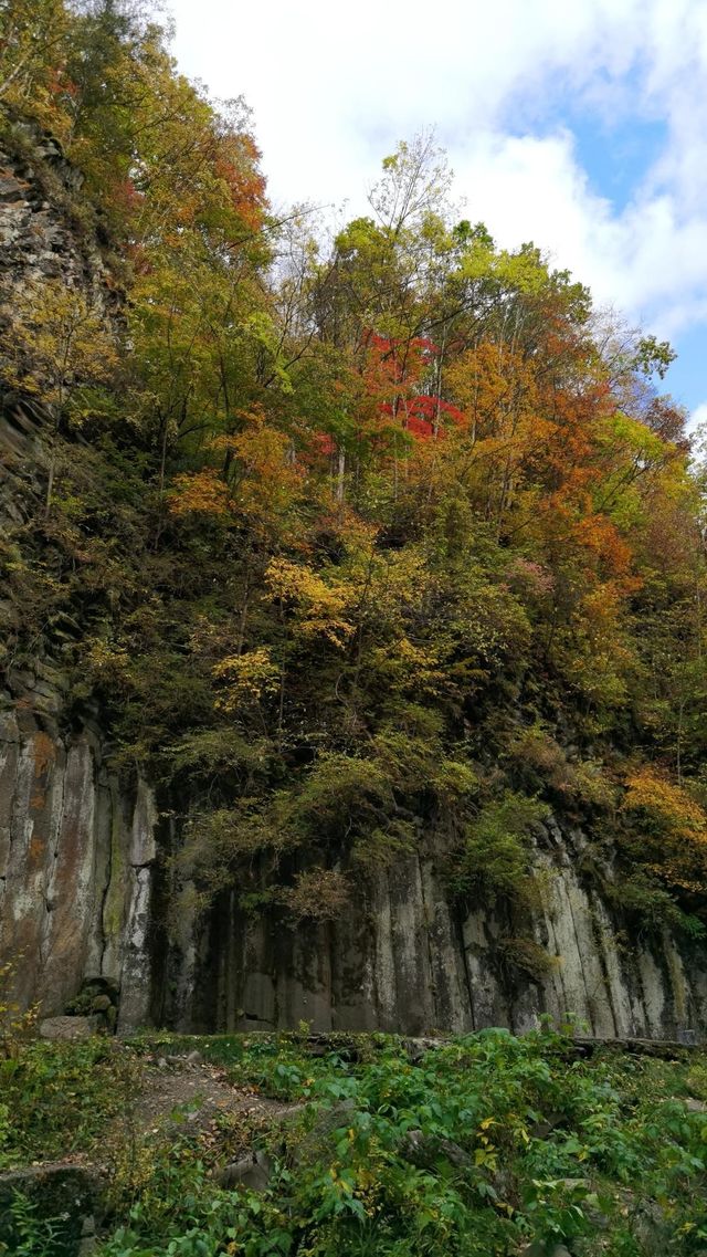 吉林白山望天鵝景區：大自然的藝術傑作