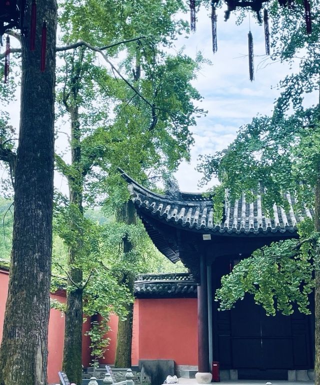 衢州|一定不能錯過的拍照機位