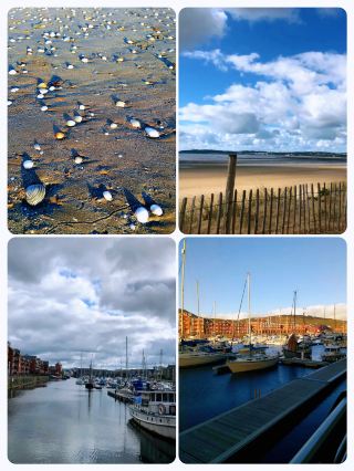 Swansea Marina: The Bustle and Tranquility of the Seaside