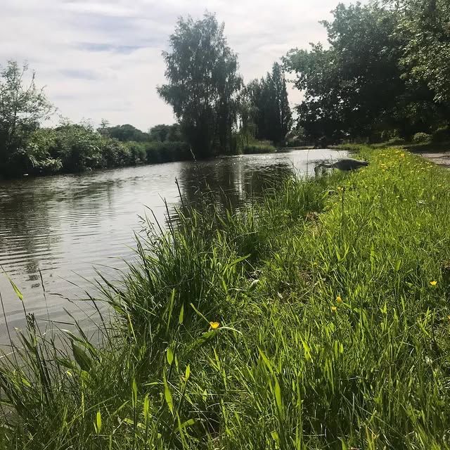 英國麥克爾斯菲爾德柴郡環線——沿河而行的美麗之旅