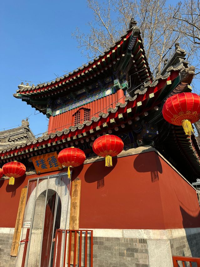 都江堰-九寨溝親子遊全攻略玩轉美景不費力