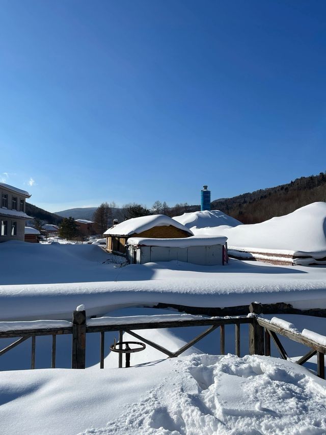 3日暢遊哈爾濱-雪鄉 探秘冬日森林奇境