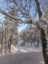 黑龍江雪鄉等地｜賞雪泡溫泉愜意過冬攻略