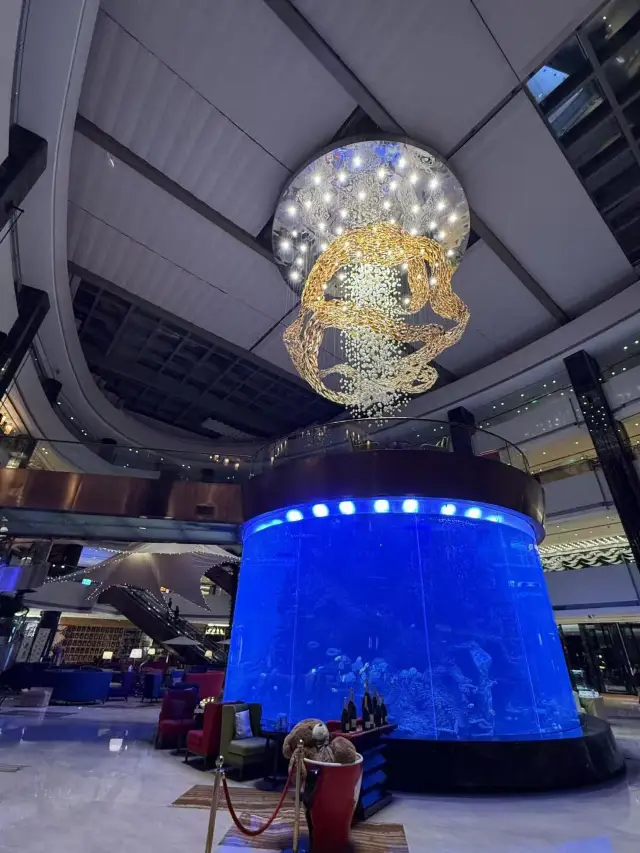 First time seeing an aquarium in a hotel, it's so cool!!!