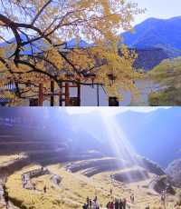 指南村|杭州賞秋勝地堪稱秋日浪漫天花板