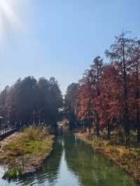 青西郊野公園絕對是任何季節都值得去的地方！