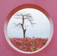 珠海都有夢幻莫奈花園，花開正盛