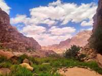 Exploring Wadi Rum Village in Jordan 🌄