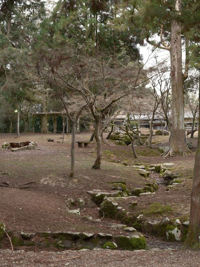 寒假探秘日本古鎮 邂逅歷史的韻味