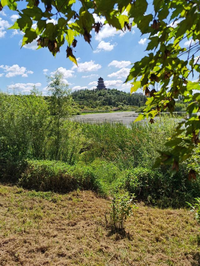 吉林四平市植物園：自然之美的繽紛世界