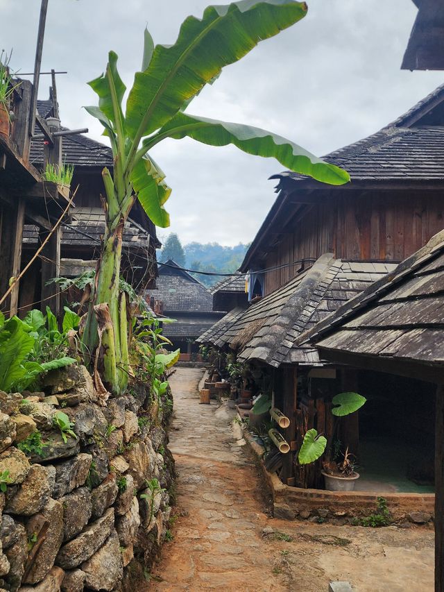 普洱古韻探秘 尋覓茶馬古道上的遺珠