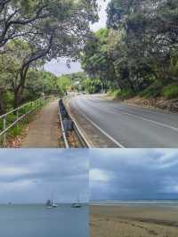 邂逅北斯特拉德布魯克島，解鎖自然饋贈