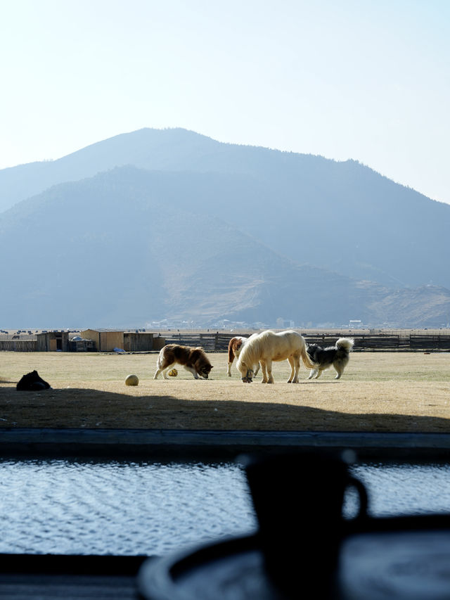 面向草原與雪山，係香格里拉最值得入住嘅度假天堂！