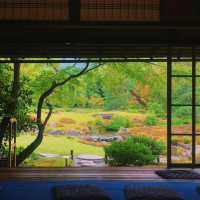 京都的「靜」·遇見一座會呼吸的百年庭院