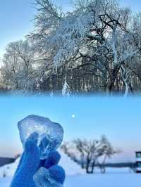 淨月潭森林公園半日遊，錯過等一年的冰雪美景