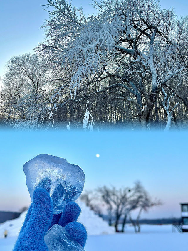淨月潭森林公園半日遊，錯過等一年的冰雪美景