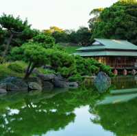 東京·清澄庭園 ：走過清澄白河的日式浪漫💕