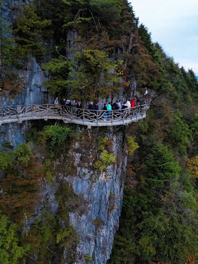 達州春日魅力探索之旅