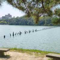 避開人潮，福岡一人悠遊記 | 九州福岡5天4晚獨旅攻略