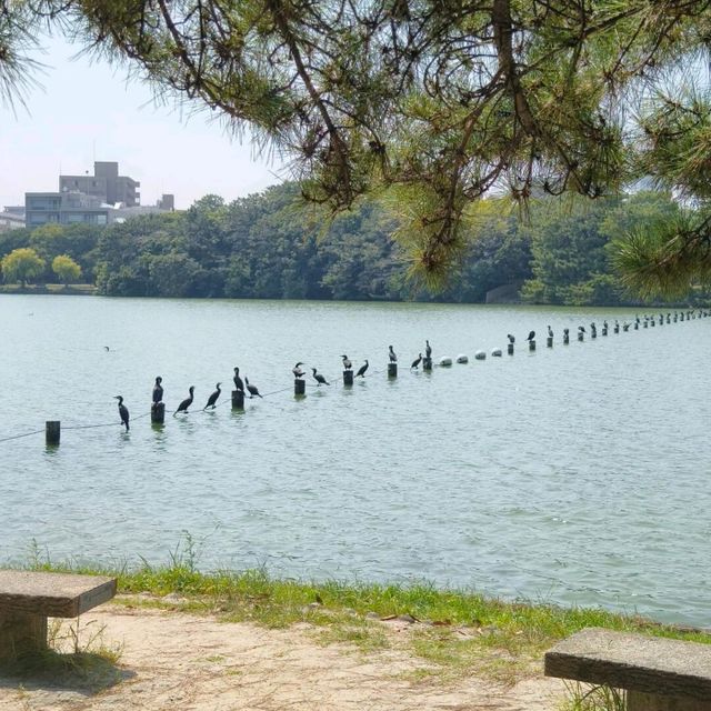 避開人潮，福岡一人悠遊記 | 九州福岡5天4晚獨旅攻略