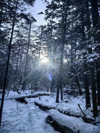 長春-長白山5日遊 玩轉兩地不踩坑