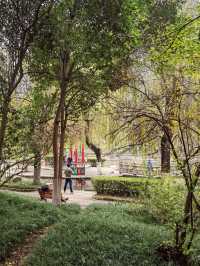 想在西安賞花觀樹？來紡織公園就對了