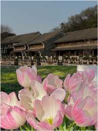 寧波受罪已回 3月不建議去