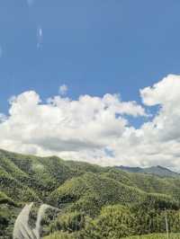 池州-台州4日遊｜老友出行 不繞路攻略