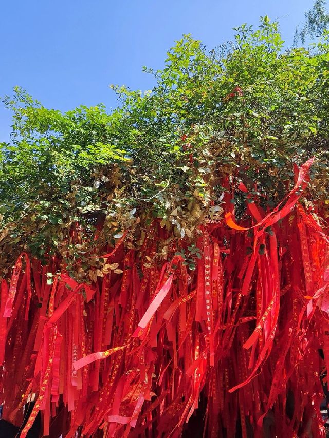 5日深度遊 河南鄭州-洛陽-開封超感人周全攻略