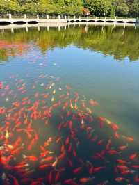 大連兒童公園超詳細攻略，帶娃賞景兩不誤